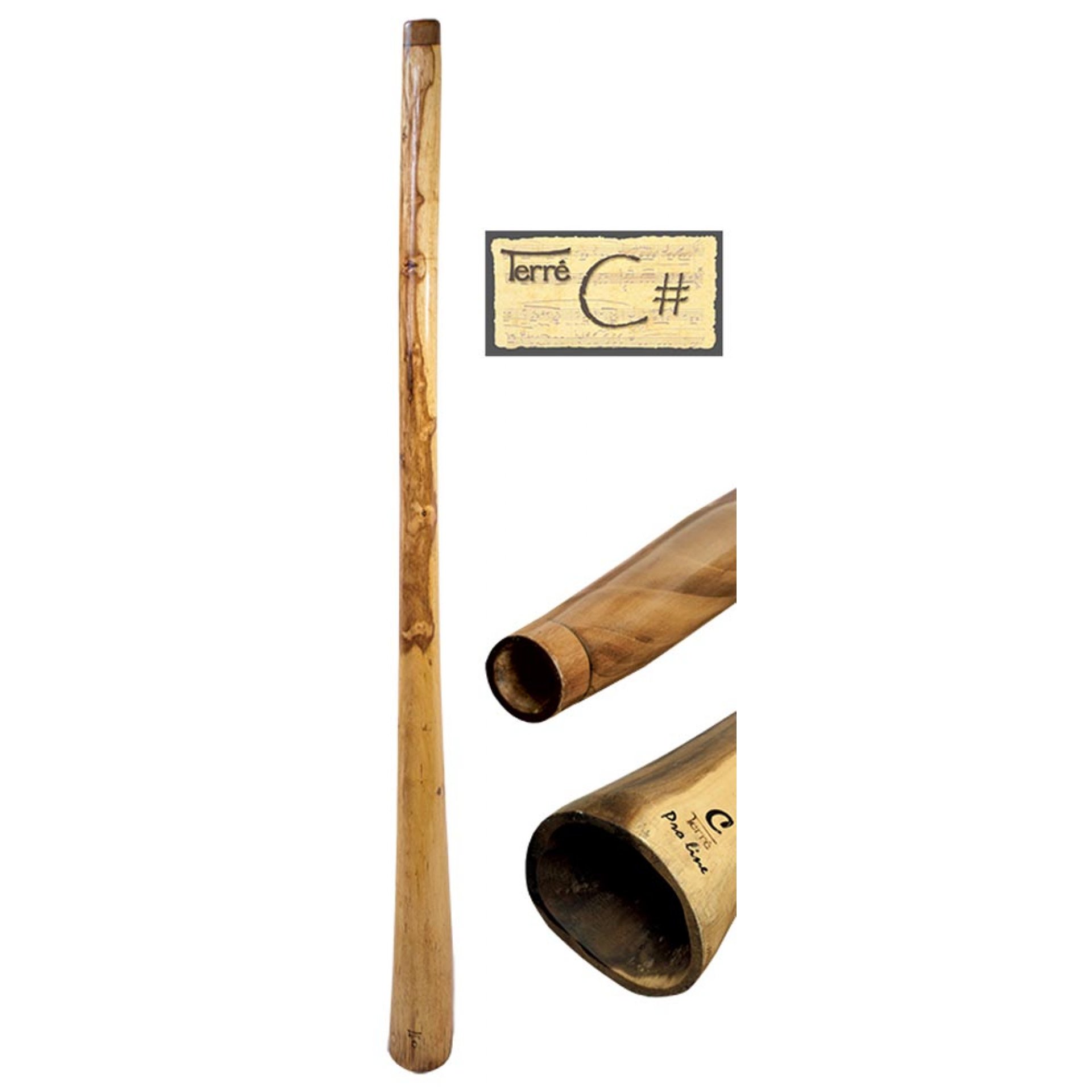 Didgeridoo Eukalyptus Proline Ton Cis Länge 150-160cm (inkl. Bag)