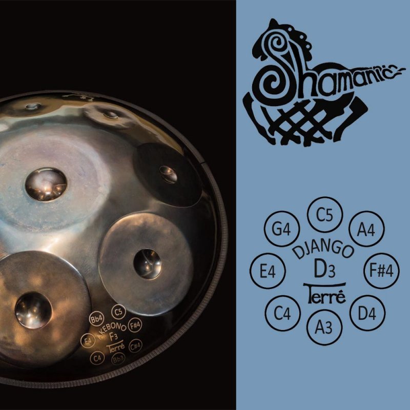 Shamanic Handpan 432Hz D Django inkl. Bag