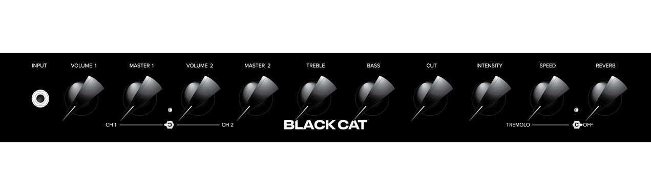 Bad Cat Black Cat 1x12 Combo