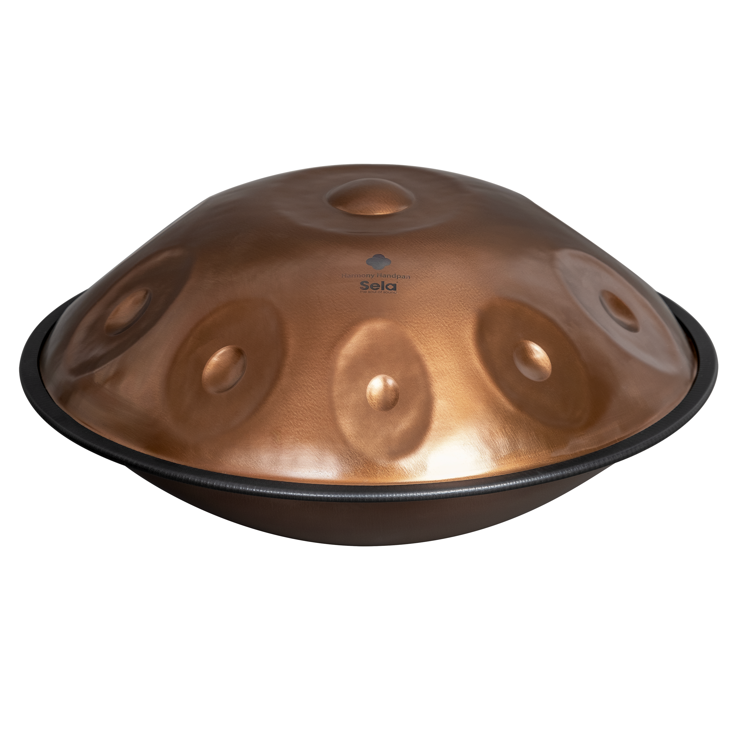 Sela Harmony Handpan D Kurd Ember Steel - 10 tones 440Hz