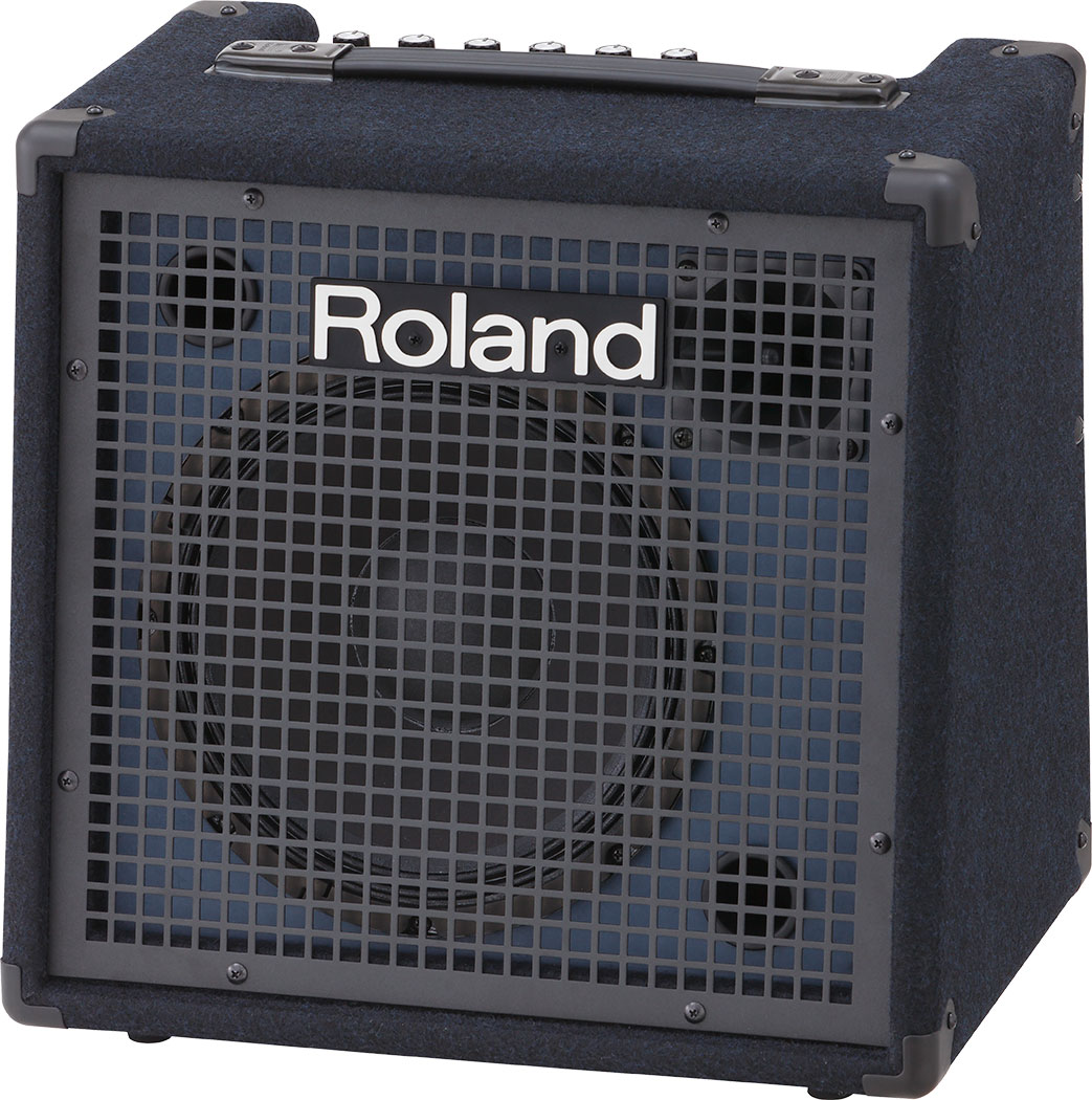 Roland Keyboard Amplifier (50W)
